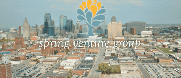 who are spring venture group competitors